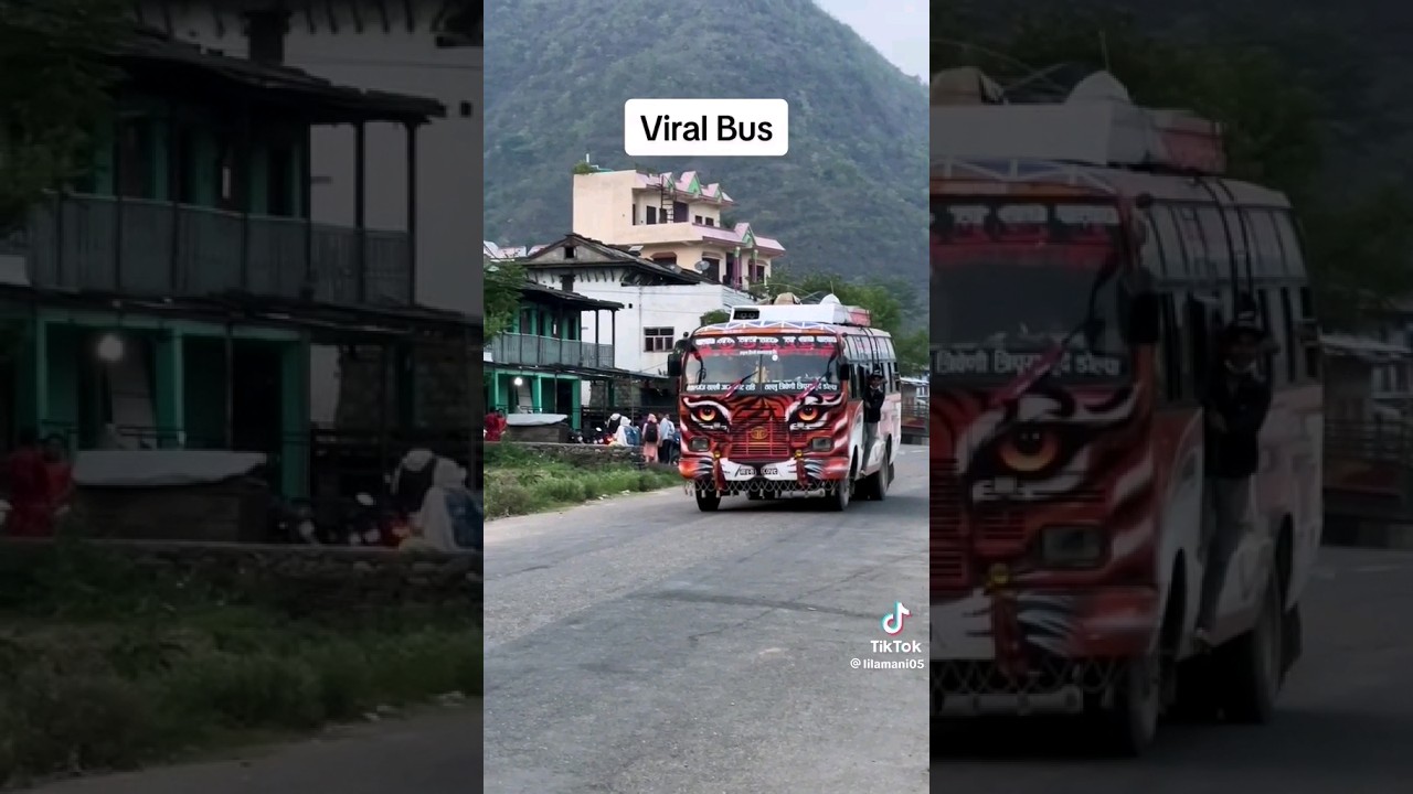 Viral tiger bus #bus #viral #nepal #shortsvideo #viralbus