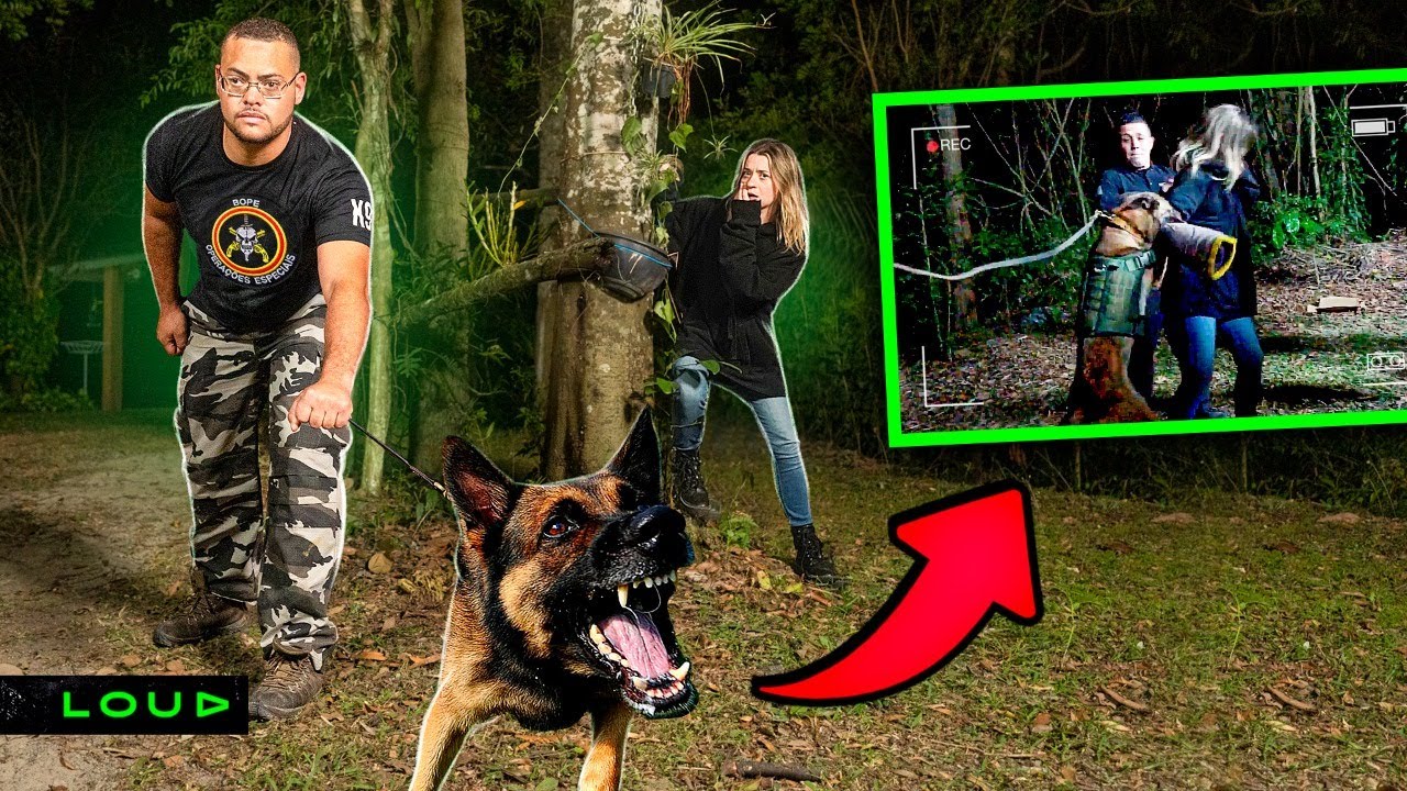 PIQUE ESCONDE COM CÃES FAREJADORES NA FLORESTA!!