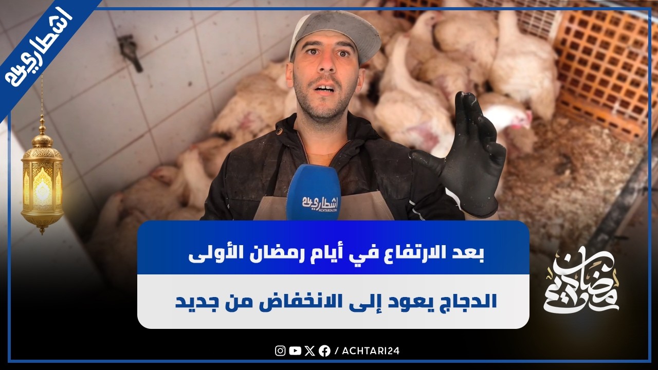 بعد الارتفاع في أيام رمضان الأولى.. الدجاج يعود إلى الانخفاض من جديد