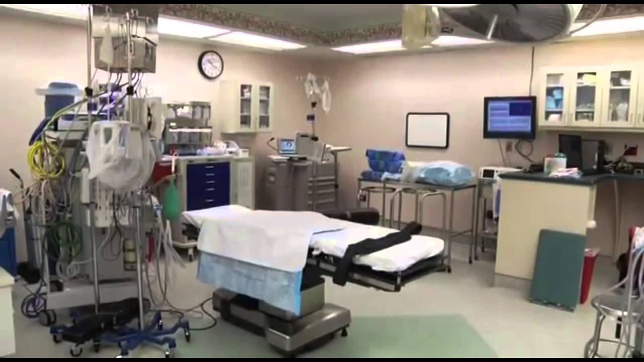 What to Expect:  Having a Baby at Johns Hopkins Bayview Medical Center