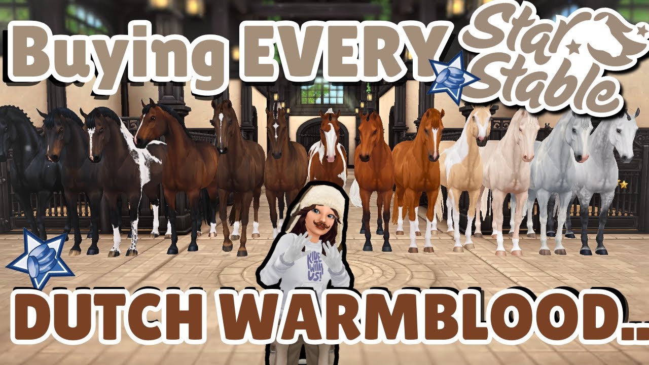 Buying EVERY dutch warmblood in Star Stable...