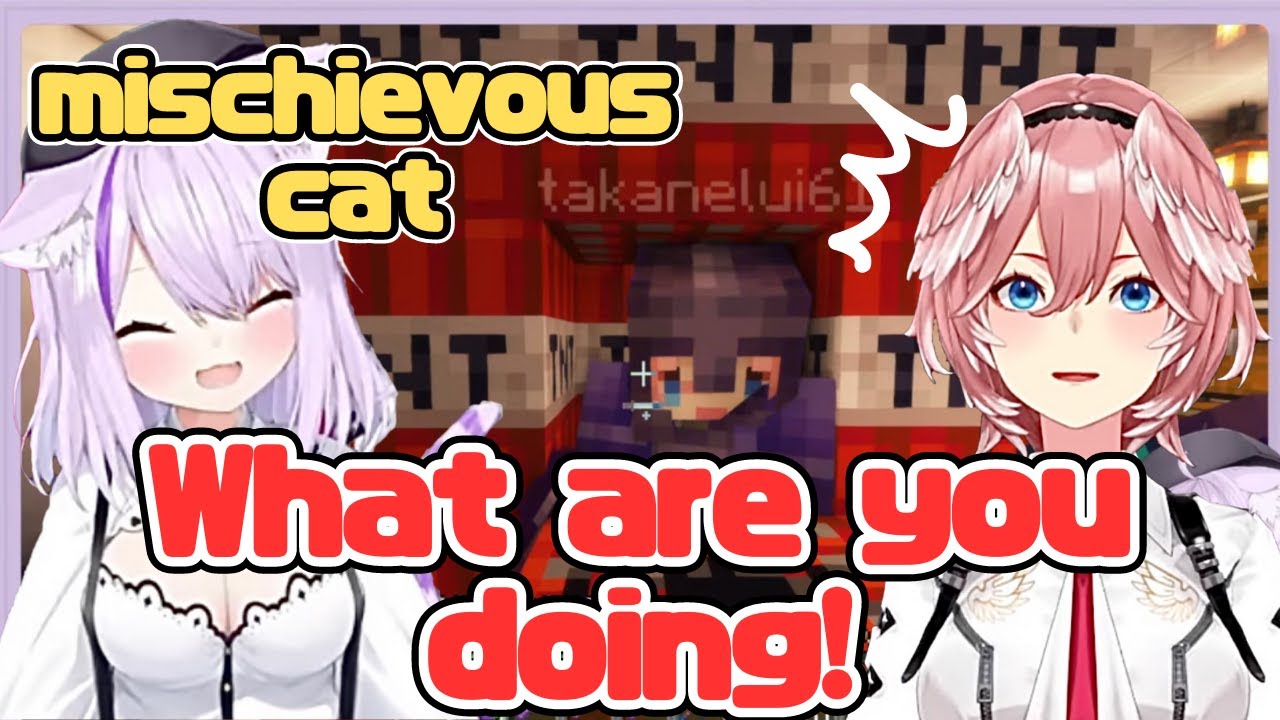 Okayu Keeps Playing Pranks on Lui with TNT[Hololive/EngSub]