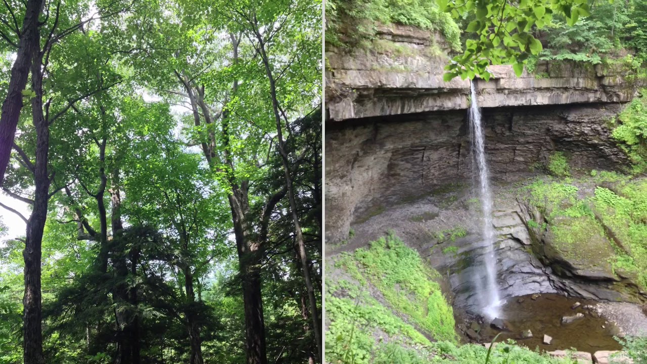 Waterfall Hunting 2018