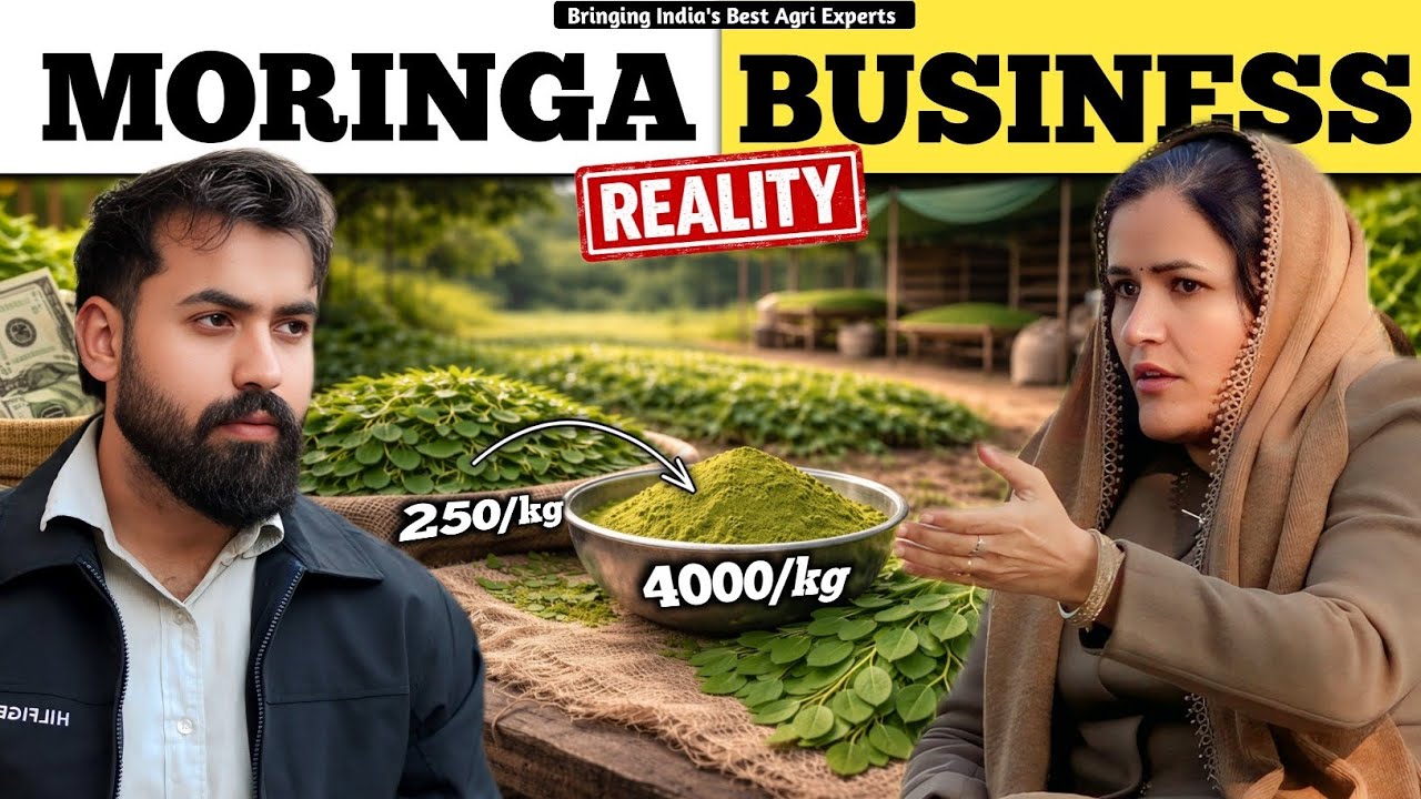 I Investigated Organic Moringa Powder Business | Ground Reality ⚠️