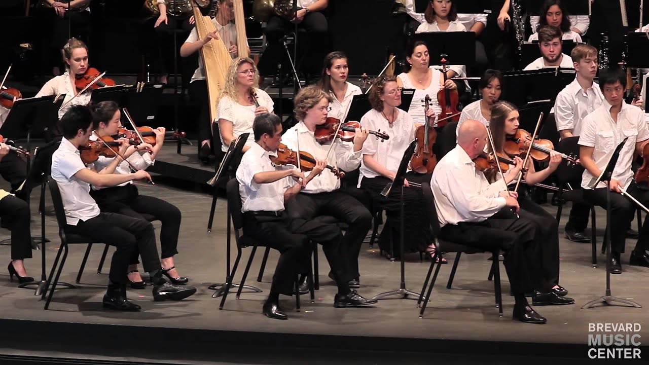 MAHLER Symphony No. 1: III. Feierlich und gemessen, ohne zu schleppen
