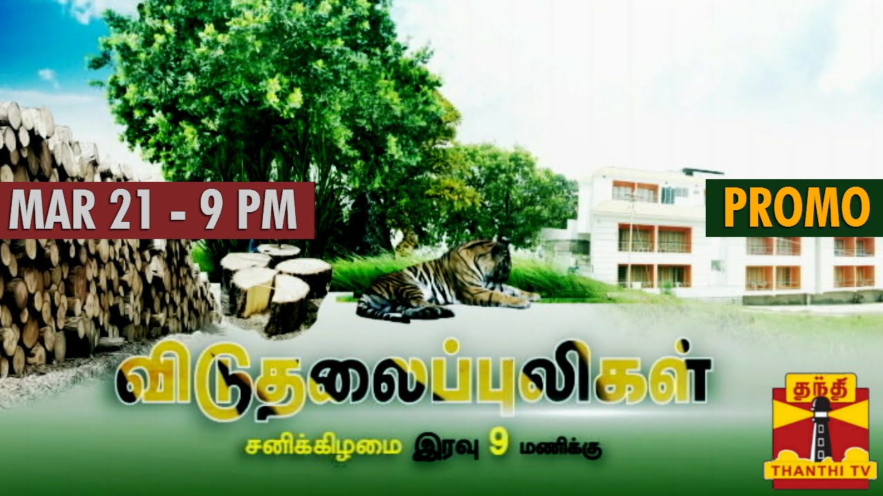 Thanthi TV Special Documentaries - 
