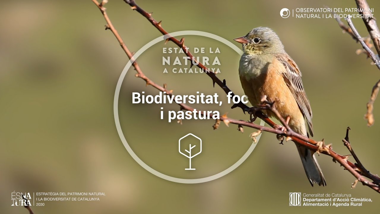 Estat Natura 2020: Biodiversitat, foc i pastura