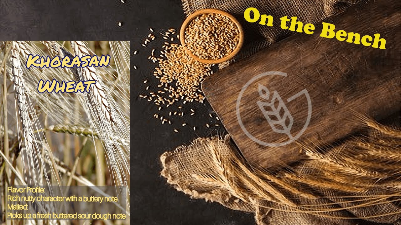 Ancient Wheat Series - Khorasan