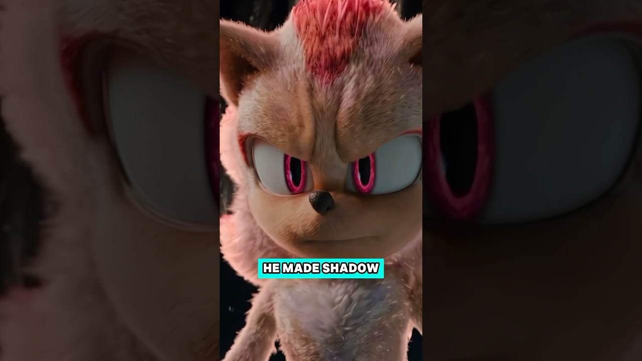 The Most Asked Sonic Movie Question