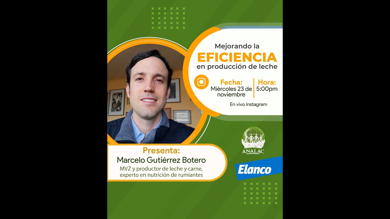 Mejorando la eficiencia en producción de leche