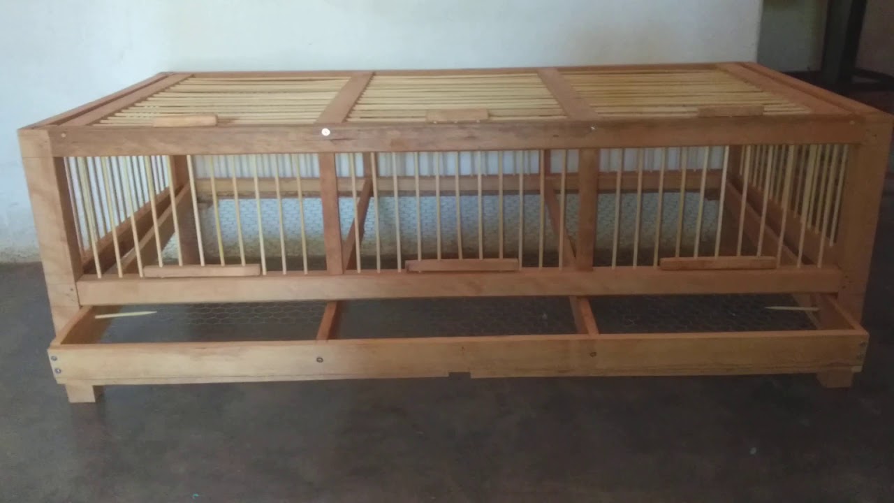 Gaiola para codornas de madeira e palito de churrasco
