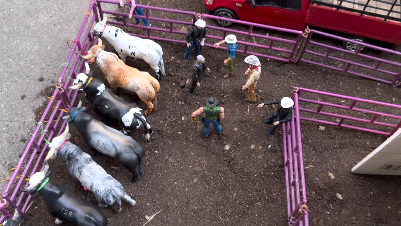 Que pasó aquí? Mini Jaripeo! Rancho Nuevo🔥