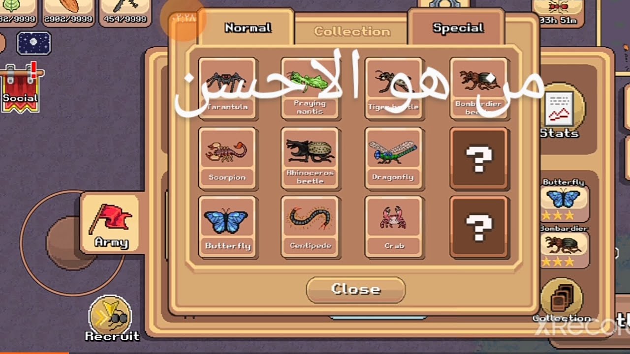 معسكر النمل تقييم الحشرات