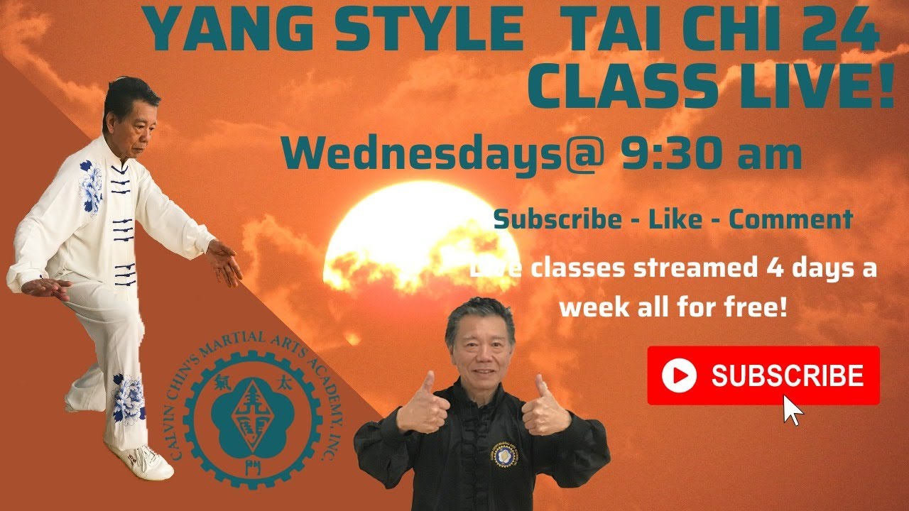 New Short Video Series Yang Style Tai Chi 24 form