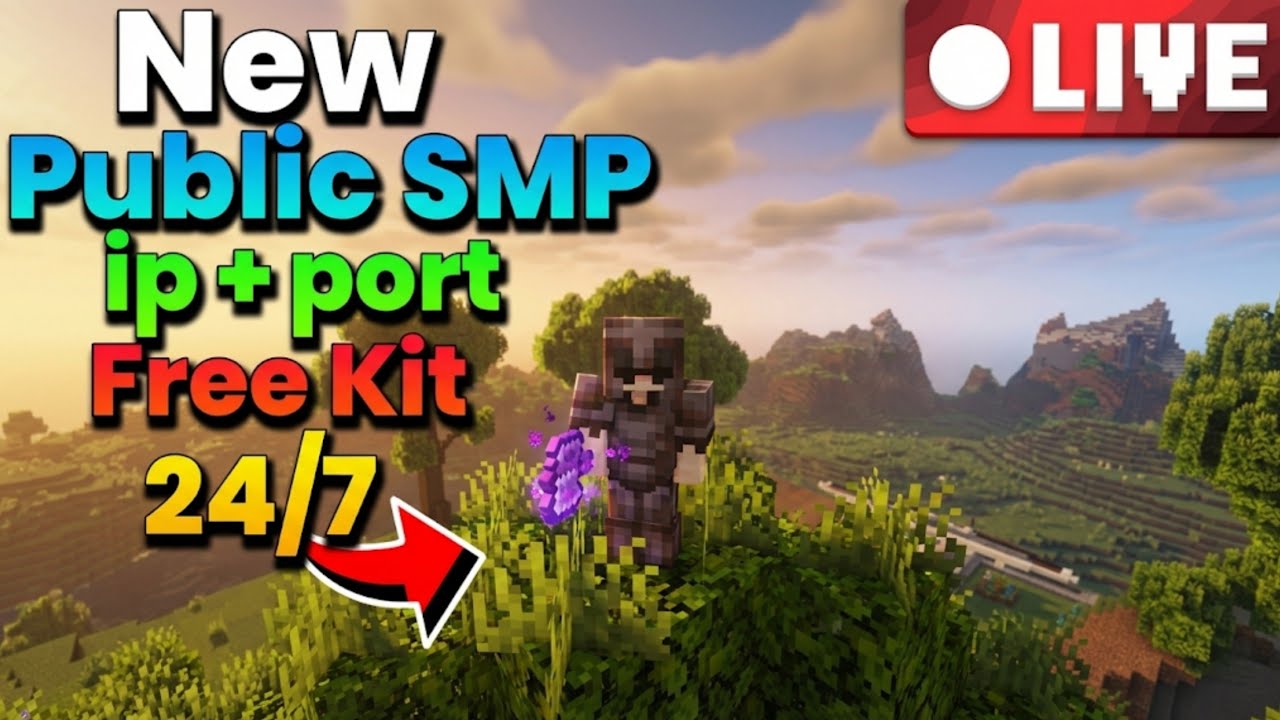 Let's play on this Brand NEW Public Minecraft Server