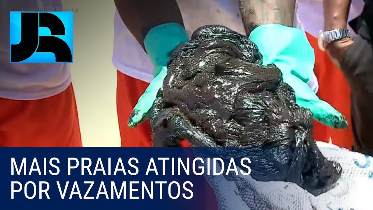 Mais 2 praias de Pernambuco são atingidas pelo vazamento de petróleo
