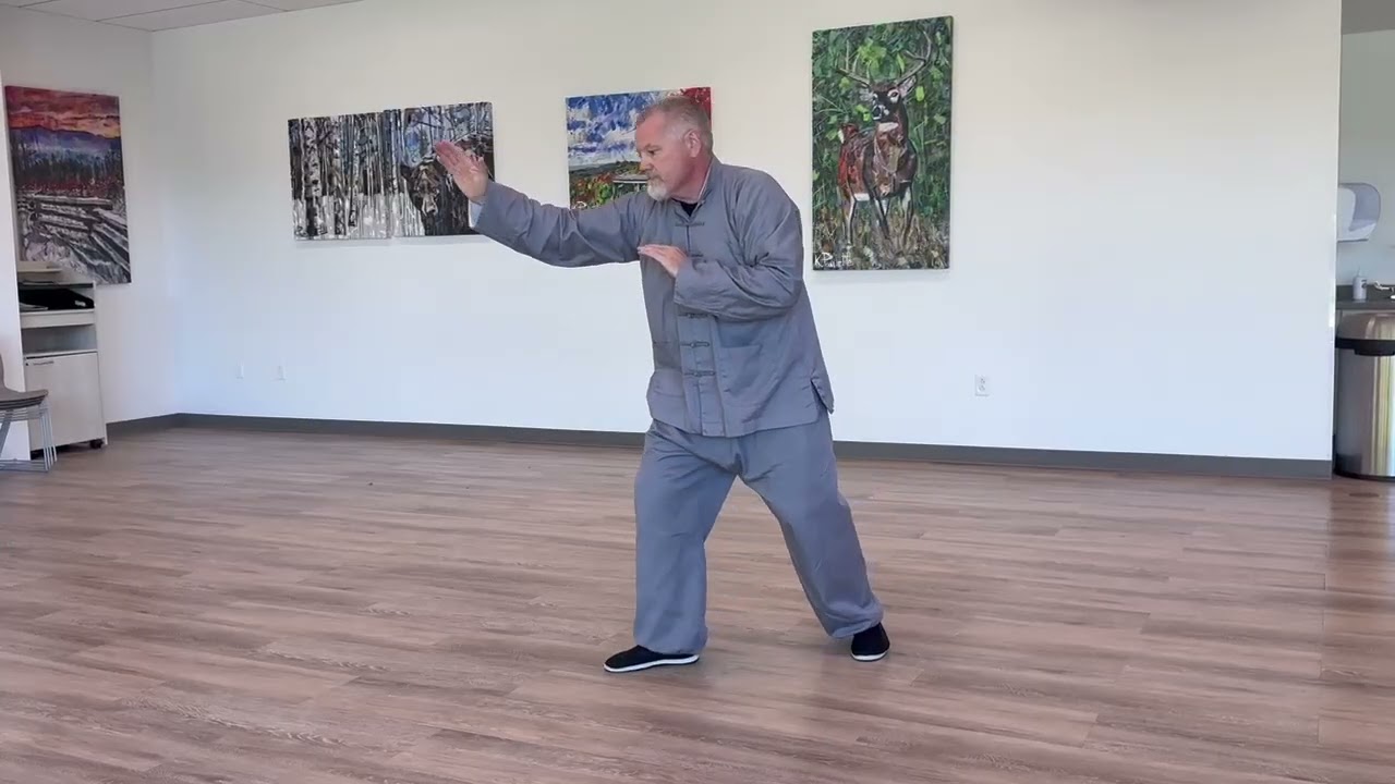 Tai Chi - Matthew Rand Demonstrates Tung Style Family Set Fast