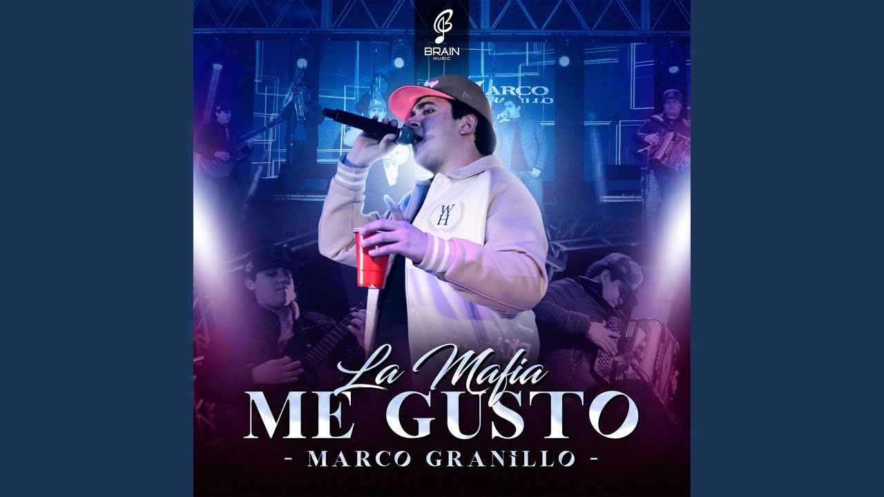 La Mafia Me Gusto
