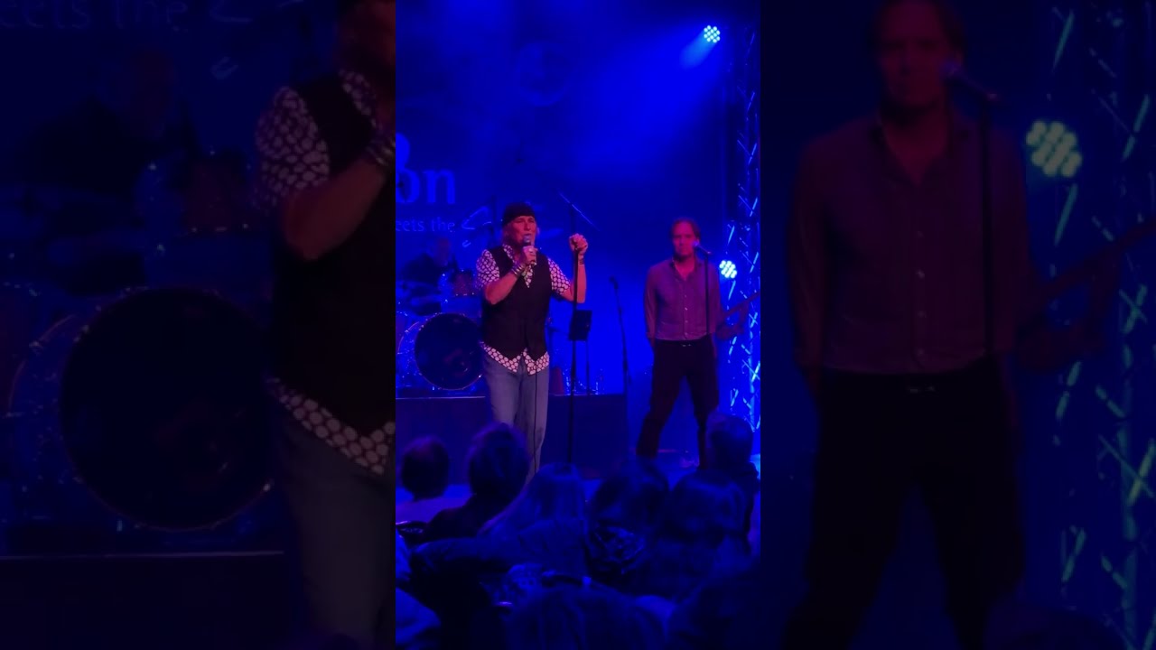 Venice - Can We Still Be Friends (cover) 11-29-2025 at The Canyon Ca 