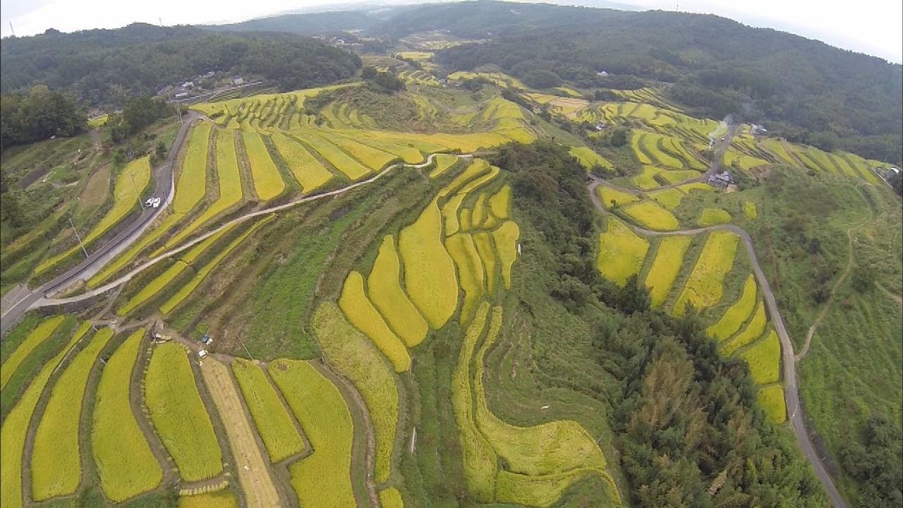消えゆく伝統的な景観「日本の棚田百選」にも選ばれた水田が人口減少・担い手不足で姿を消す　大分