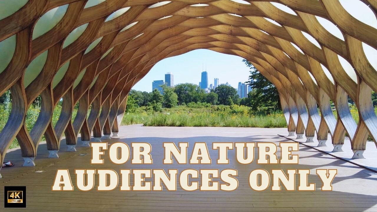 [4K UHD] Chicago's Lincoln Park Zoo Nature Boardwalk Walking Tour | Late Summer/Early Fall Heatwave