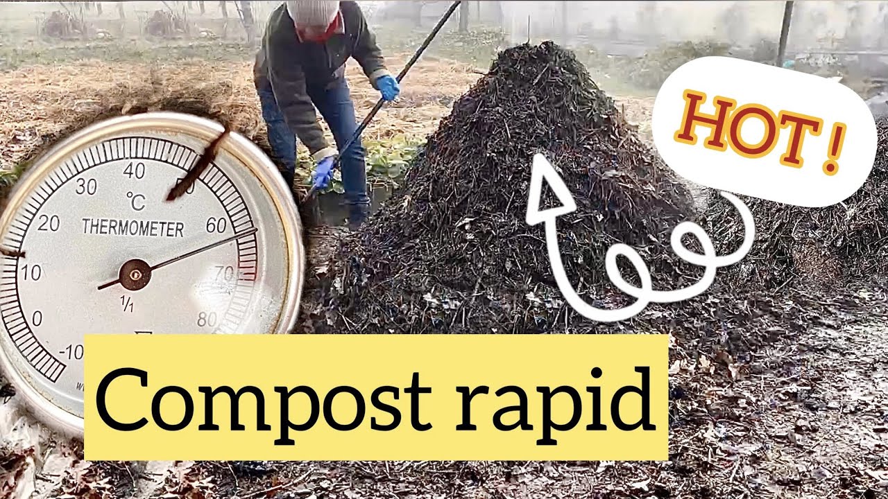 COMPOSTUL RAPID sau FIERBINTE . Scapa gradina de majoritatea bolilor, de daunatori si buruieni.