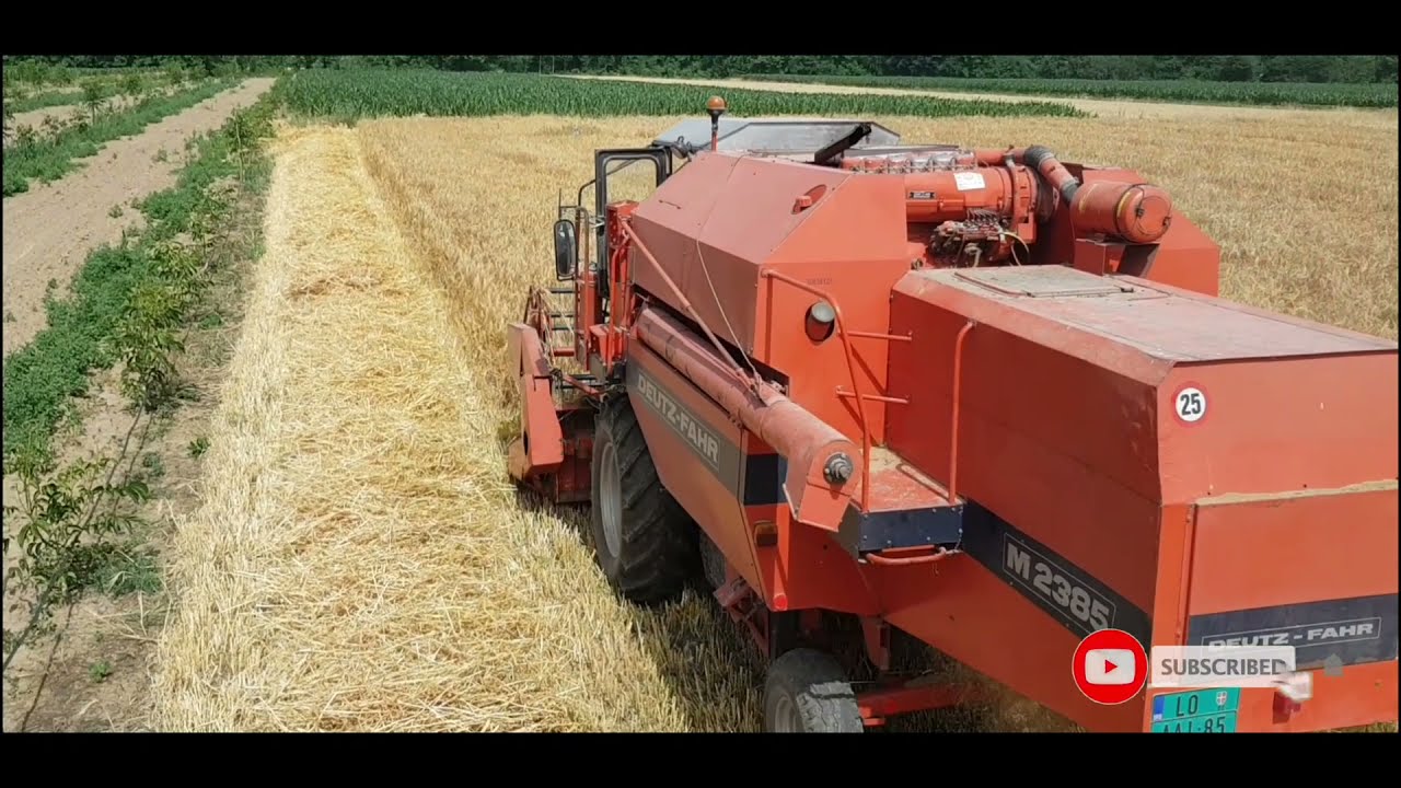 Zetva Jecma u Jelavu 24.06.2021.  | Deutz-Fahr M 2385 | barley harvest 2021