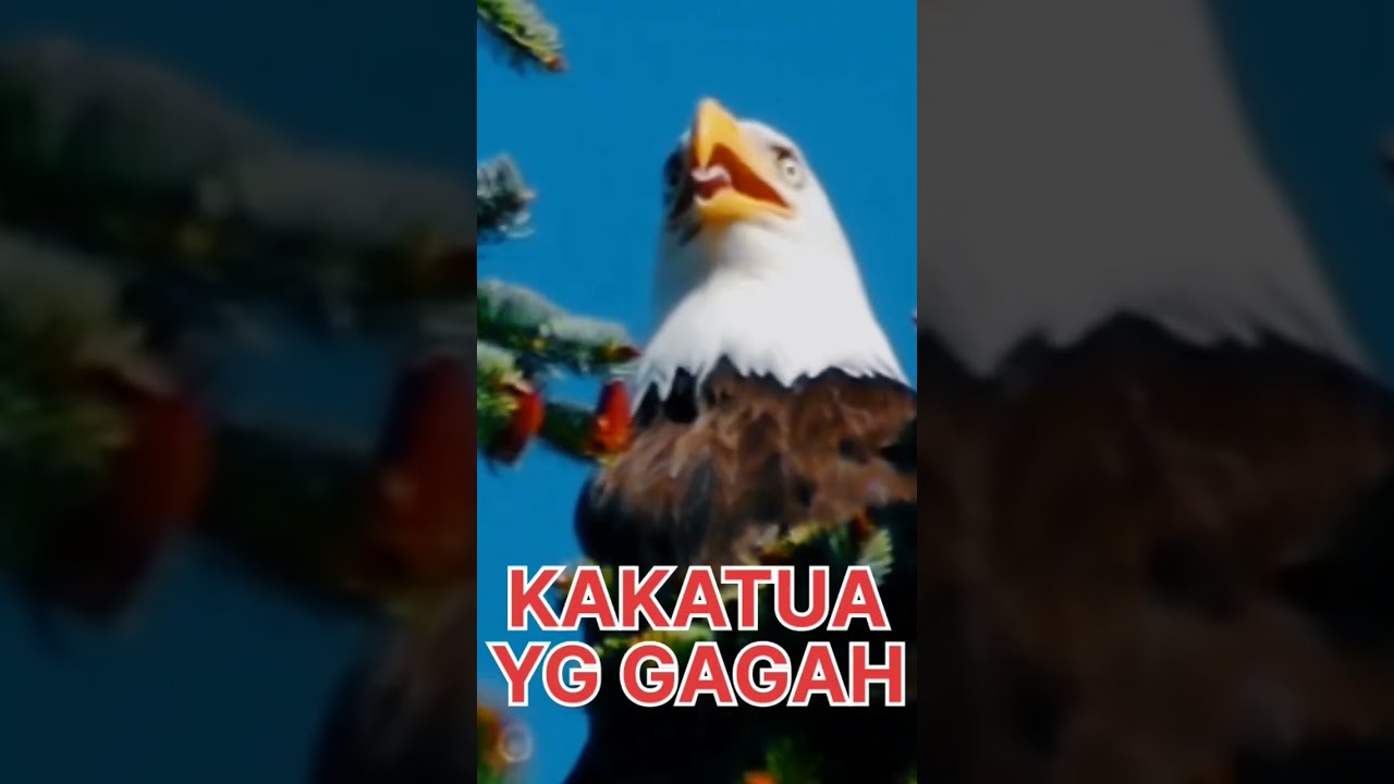 WOW🤯🤯😱😱💯🔥 #remix #original #gaming #animals #viral #game #games #gameplay #gamingvideos