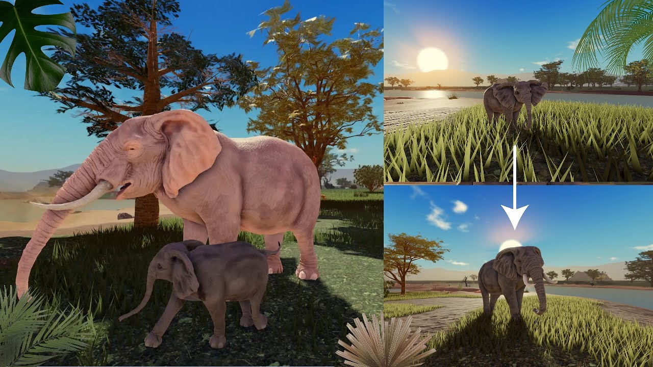 The life of a father elephant trying to raise his Baby