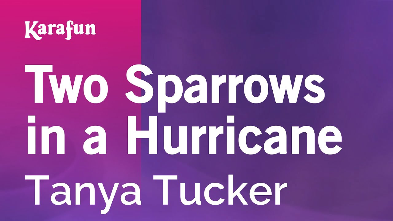 Two Sparrows in a Hurricane - Tanya Tucker | Karaoke Version | KaraFun