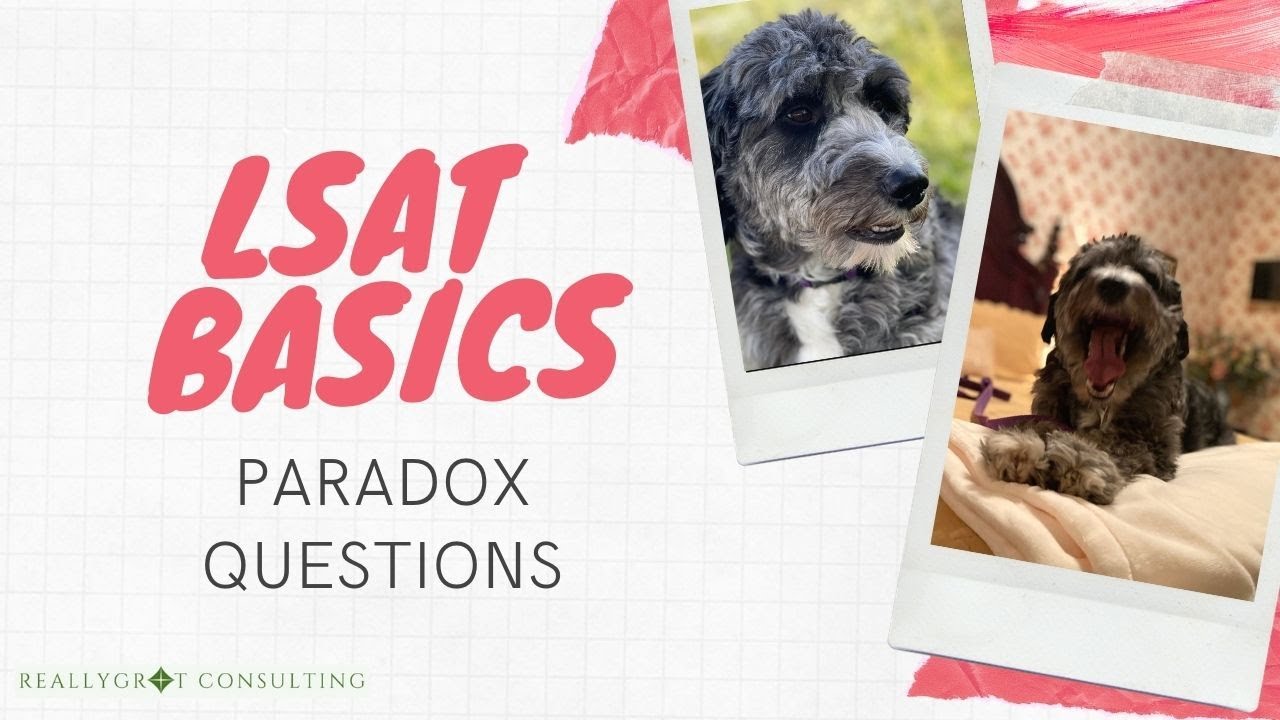 LSAT Basics: Paradox Questions