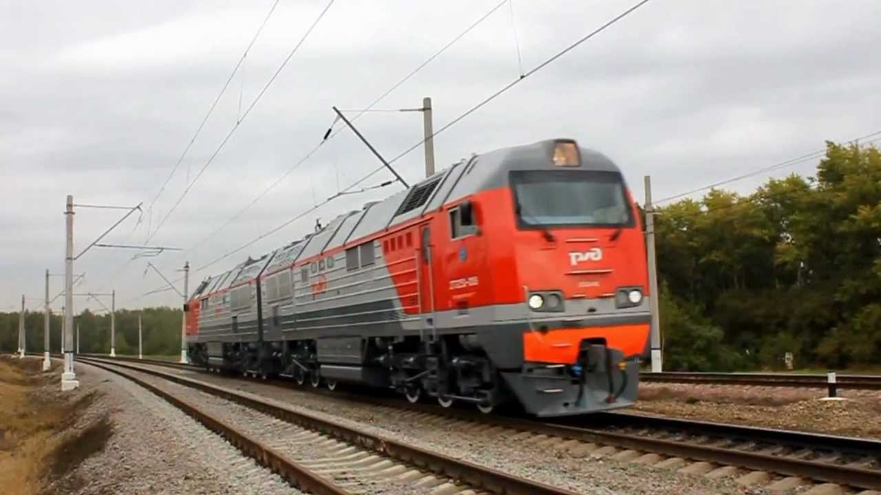 Выставка 