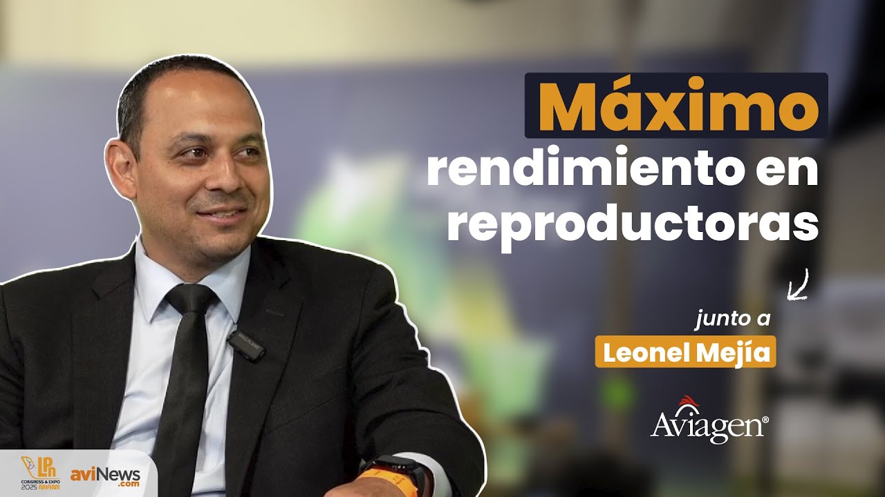 Aviagen: nutrición de reproductoras y calidad de ingredientes para un rendimiento óptimo