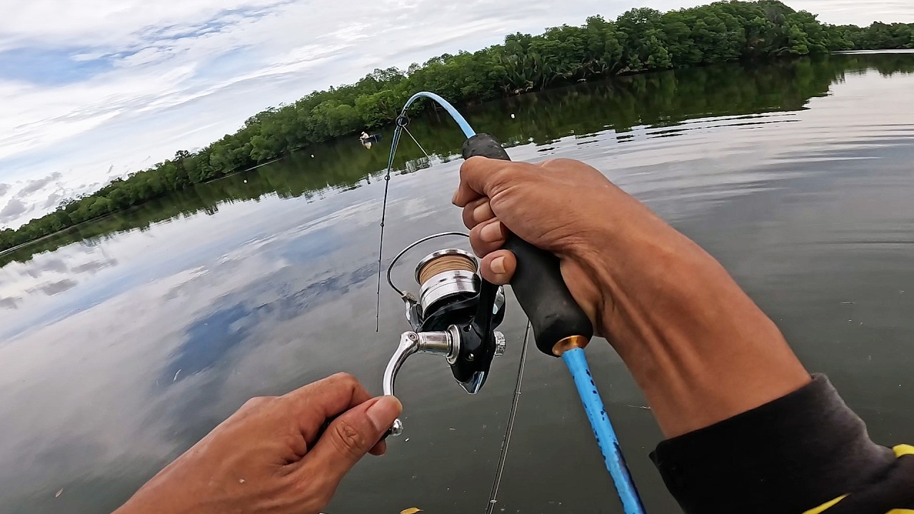 Rejeki Mancing Di sebelah orang menjaring malah dapat banyak kakap besar