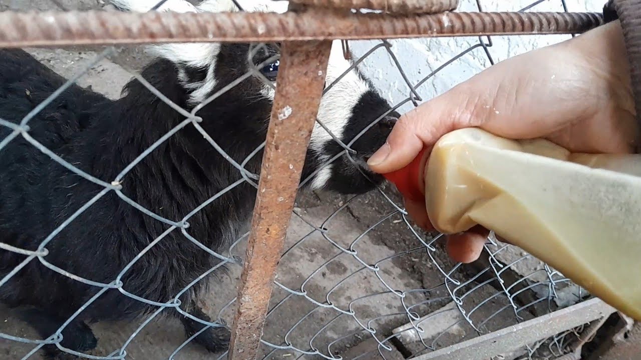 Вже зовсім інша картина...