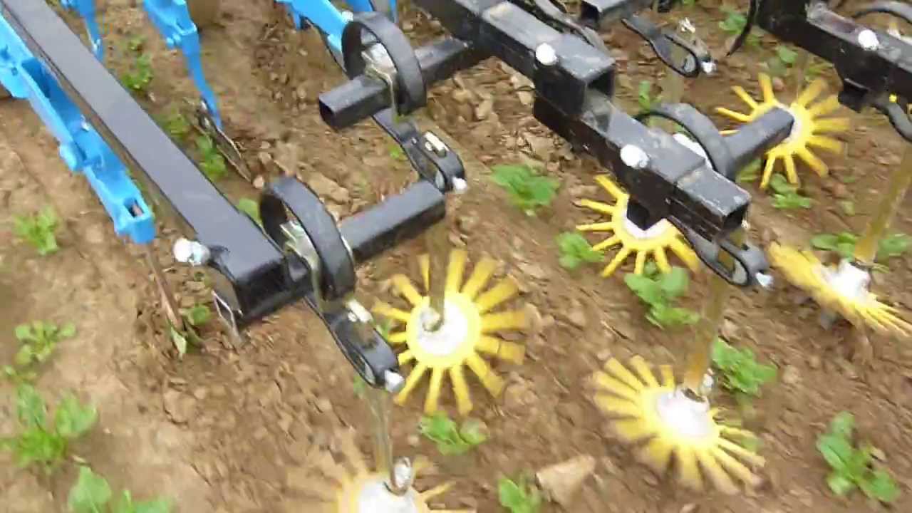 K.U.L.T. Fingerhacke in Zuckerr&uuml;ben  K.U.L.T. bineuse &agrave; doigt dans les betteraves
