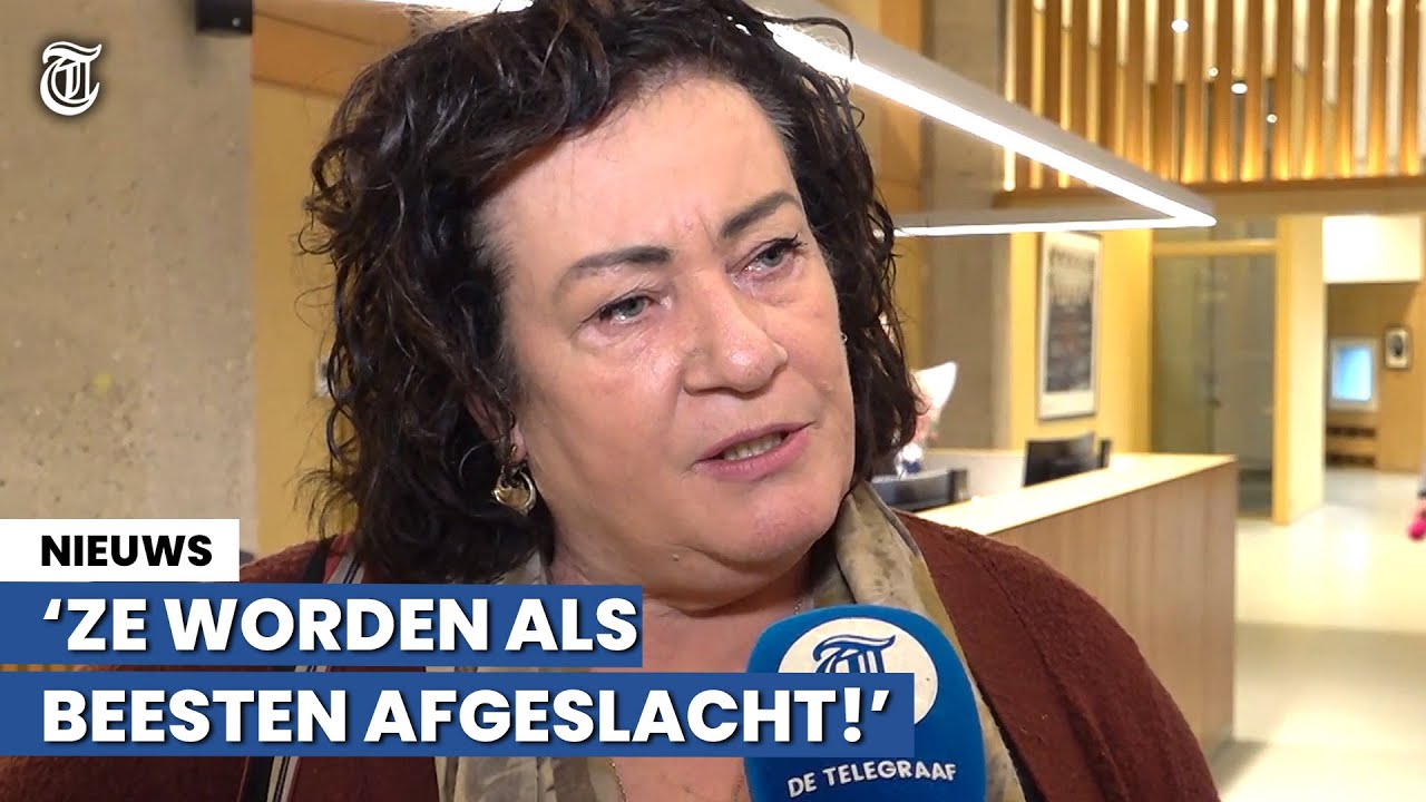 'Als je grote mond hebt over Gaza, kan je ook grote mond hebben over Iran'