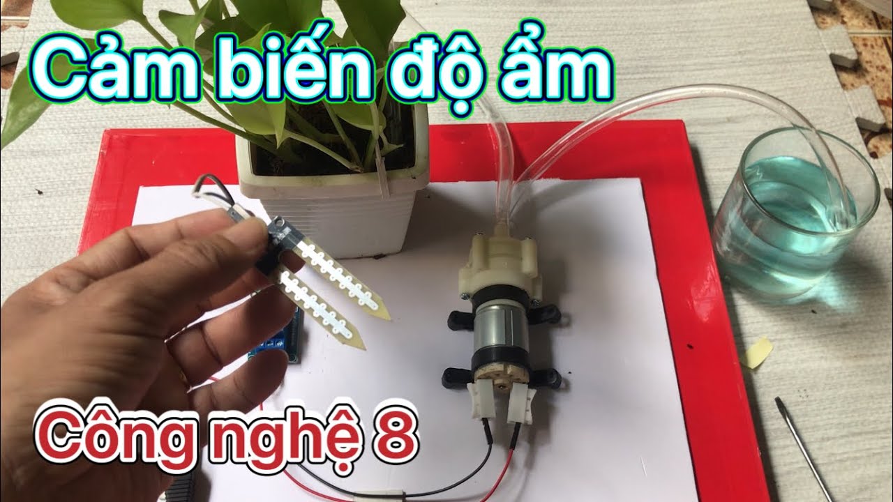 [Công nghệ 8-KNTT] Bài 16 Hướng dẫn lắp mạch điện điều khiển dùng modul cảm biến độ ẩm II #dinhCN