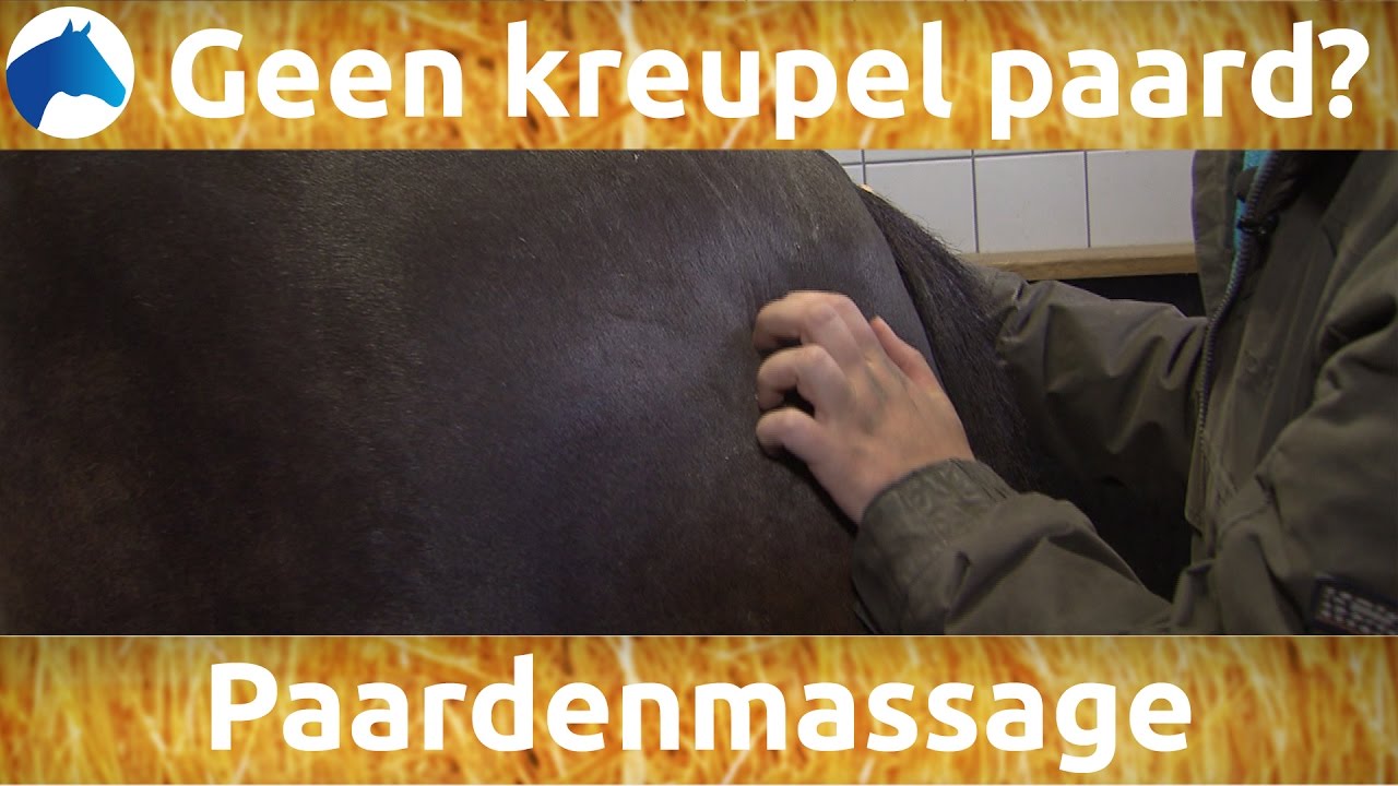 Zo voorkom je een kreupel paard | NH Bokt TV