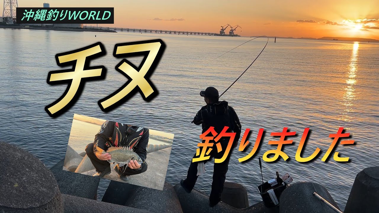 （チヌ釣り最高！）沖縄釣りWORLD１２５