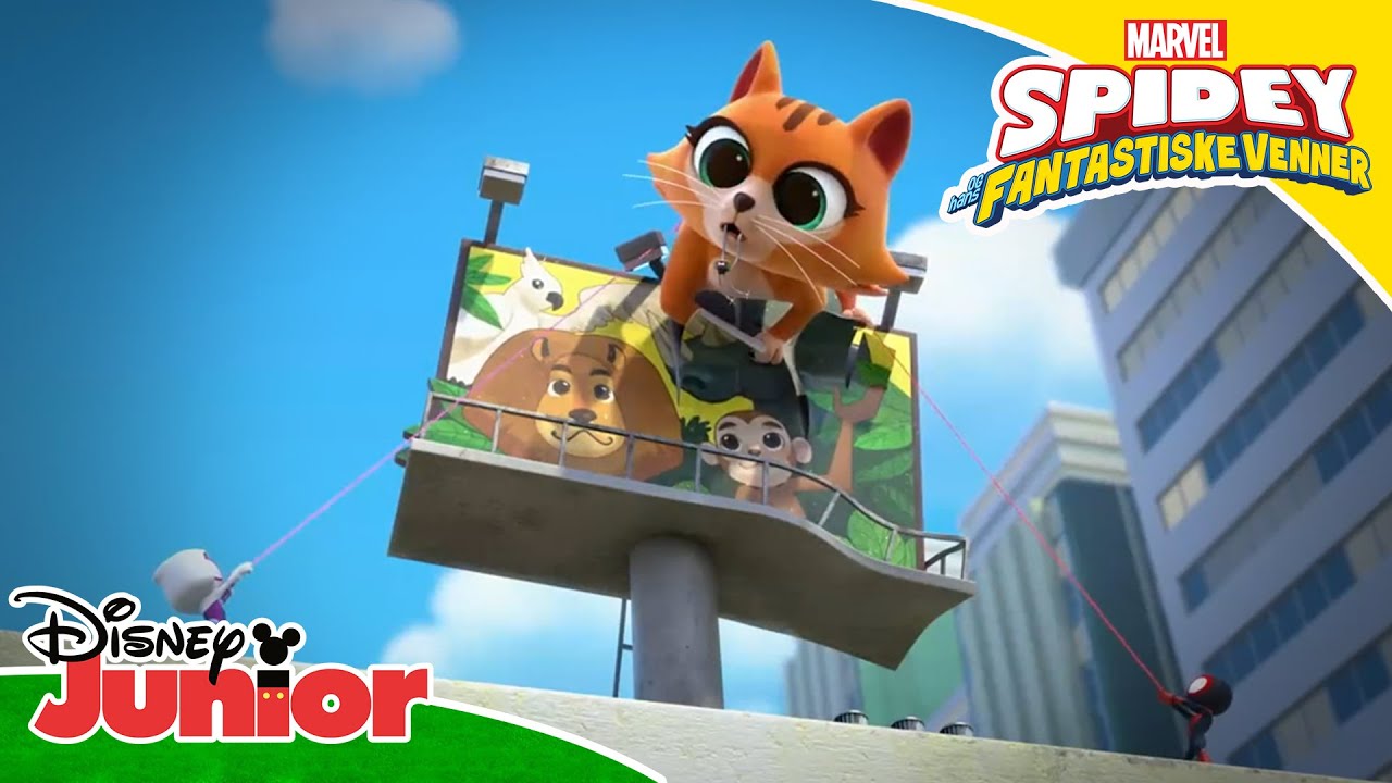 Katteutstilling | Spidey og hans fantastiske venner | Disney Junior Norge