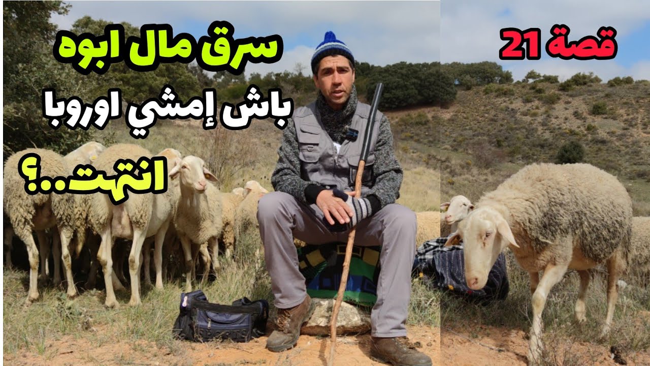 الحلقة 21: سرق مال أبوه... باش إمشي اوروبا... انتهت...؟ قصه مؤثره