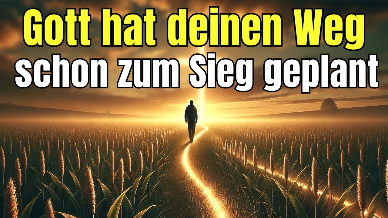 Nichts geschieht durch Zufall - Gott organisiert jedes Detail Ihres Lebens