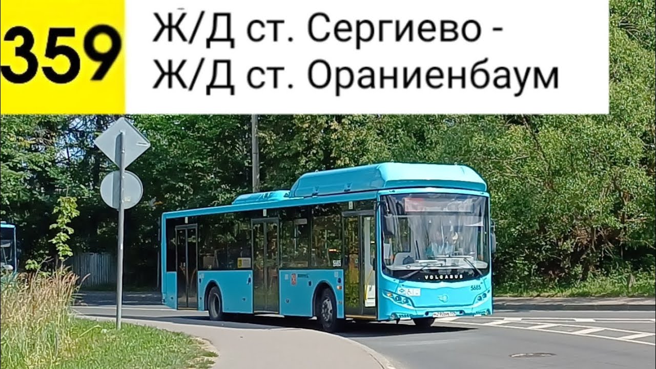 Автобус 359. Ж/Д ст. Сергиево - Ж/Д ст. Ораниенбаум