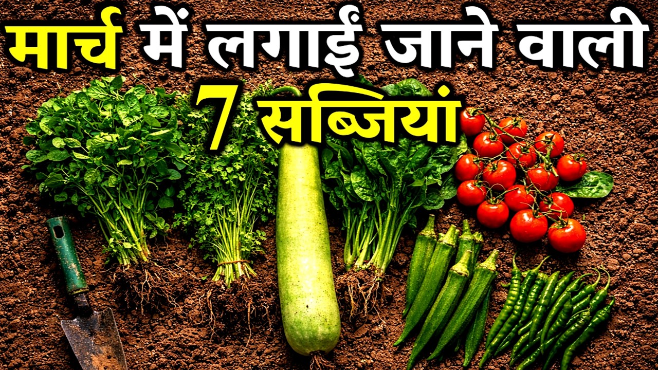 मार्च में लगाए इन 7 सब्जियों के बीज | March Me Lagne Wali Sabjiya | Grow These Vegetable In March