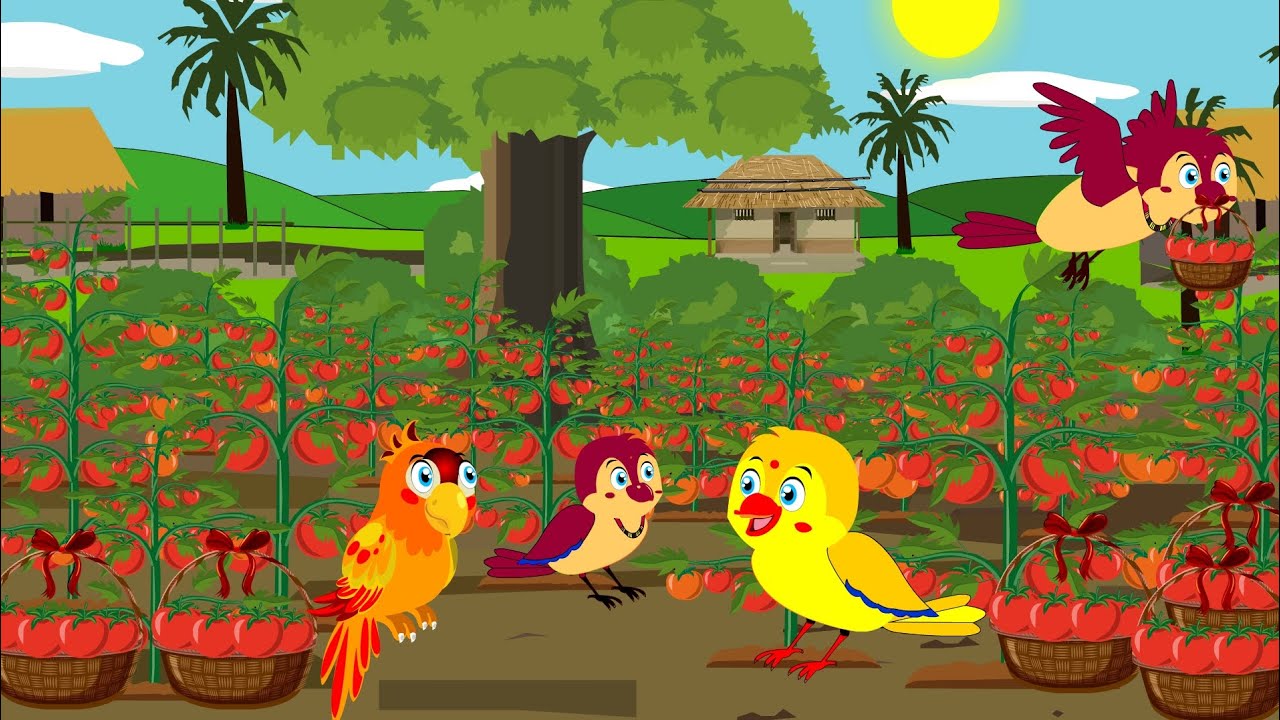 चिड़िया का टमाटर Tomato का khet | Rano Chidiya Wala Cartoon | Hindi Moral Story | Birds Toons |