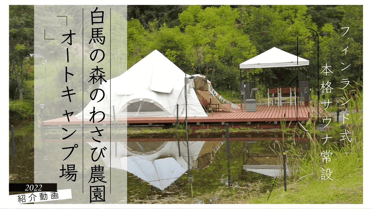 #47 【紹介】白馬の森のわさび農園オートキャンプ場