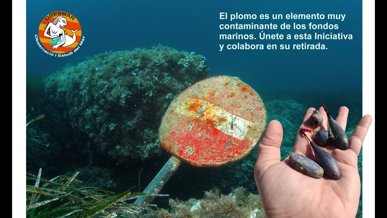 Mar sin plomo 2025