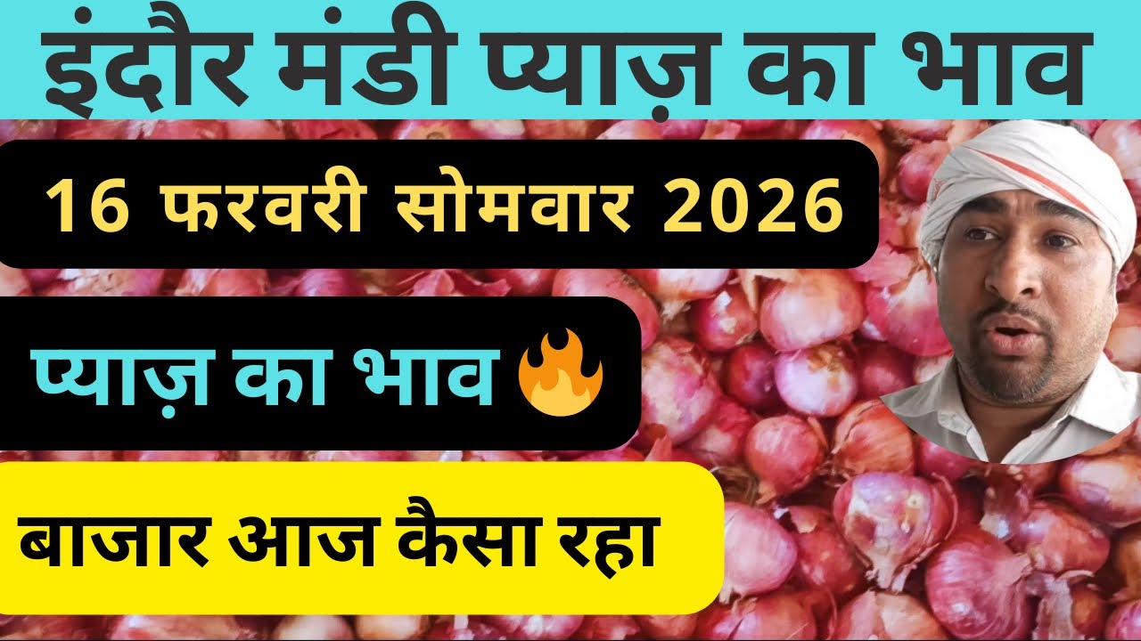 indore mandi pyaj ka bhav​ प्याज का भाव #lahsunaajkabhad 