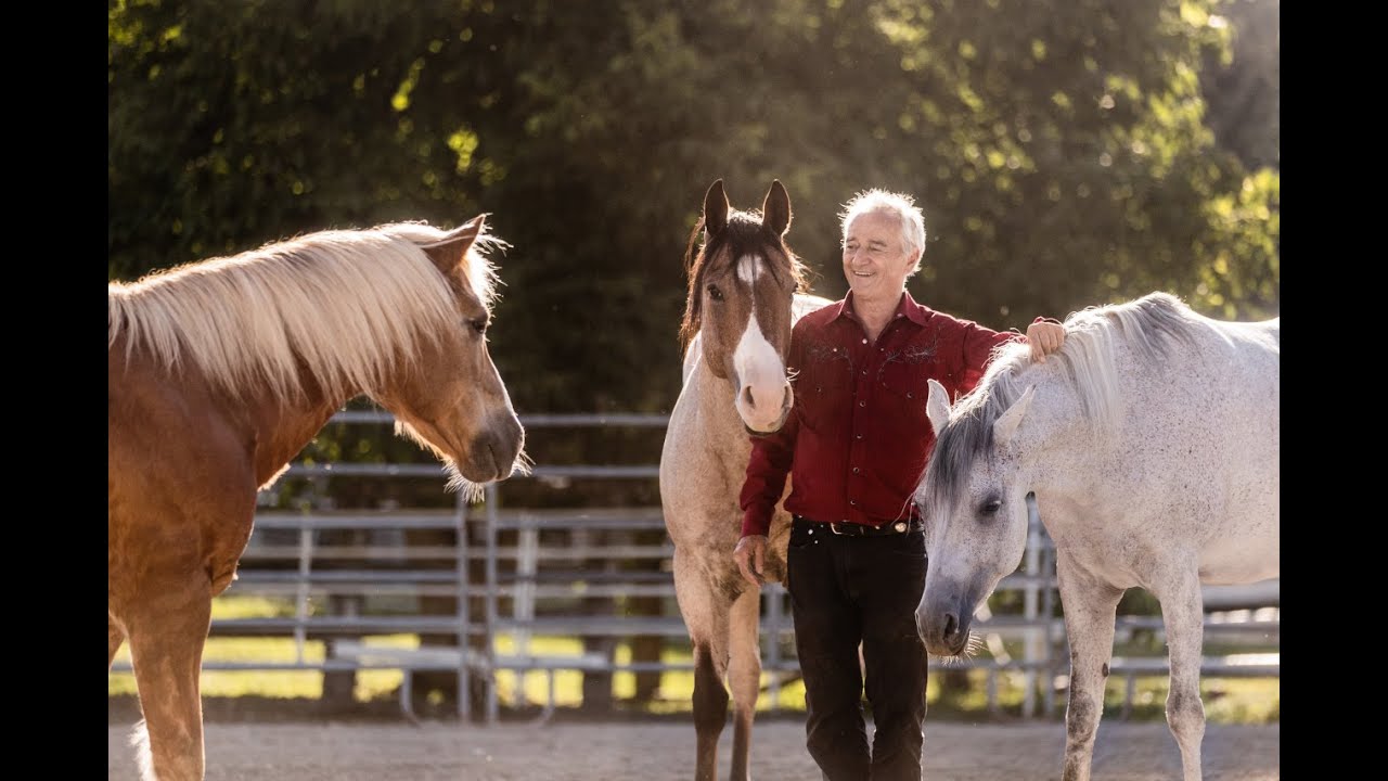 Delfin-Horsetraining und Resultate, Vorschau